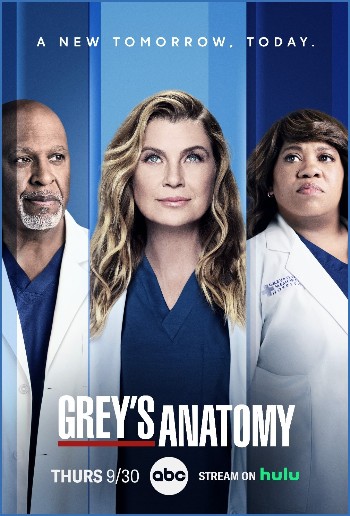 Greys Anatomy S20E10 Burn it Down 1080p AMZN WEB-DL DDP5 1 H 264-FLUX