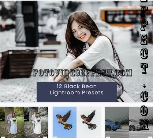 12 Black Bean Lightroom Presets - BRHD9QN