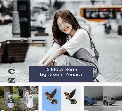 12 Black Bean Lightroom Presets - BRHD9QN