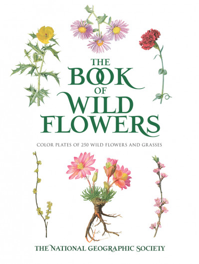 The Book of Wild Flowers: Color Plates of 250 Wild Flowers and Grasses - The Natio... 2c2f165701d4dd73eb75d1d4be369f4b