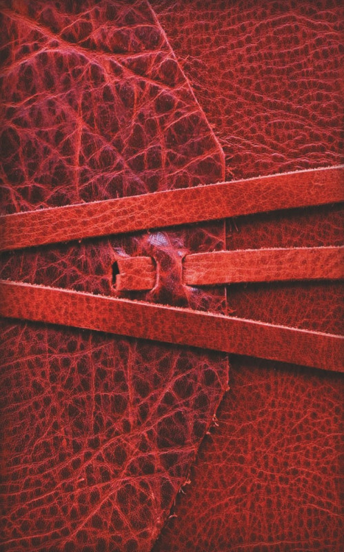 [Image: aa50e984afdd7343d50ae42e145ac327.jpg]