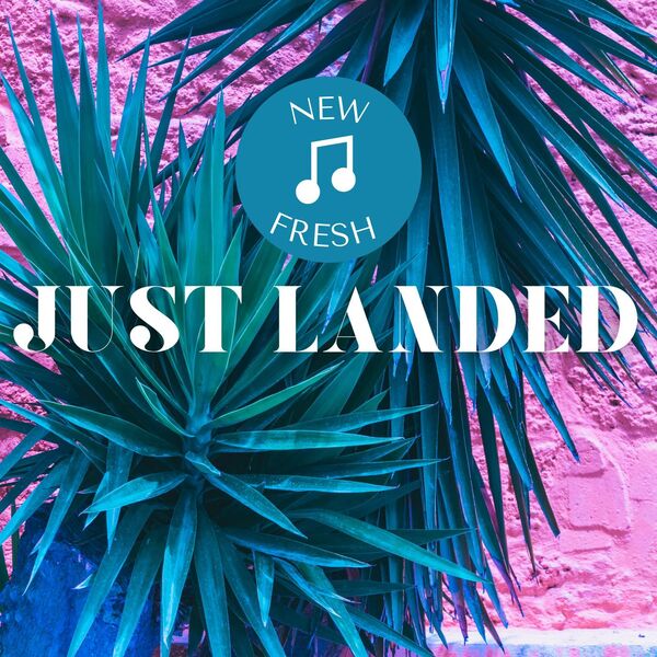 VA - Just Landed - New & Fresh 2024