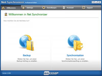 Net Synchronizer Professional  3.002