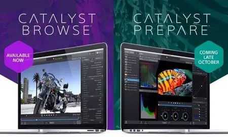 Sony Catalyst Browse / Prepare Suite 2024.1 (x64)
