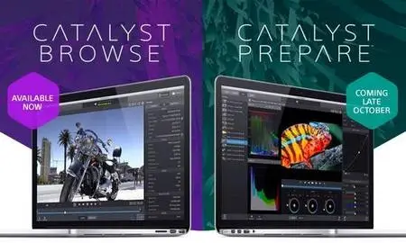 Sony Catalyst Browse / Prepare Suite 2024.1 Portable (x64)