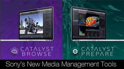 Sony Catalyst Browse / Prepare Suite  2024.1 C0d4160e3d313142103aea88ca053dd0