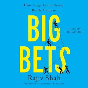 Big Bets How Large-Scale Change Really Happens [Audiobook]