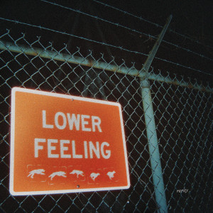Rarity - Lower Feeling (2024)
