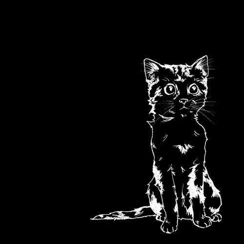 AJJ (Andrew Jackson Jihad) - Only God Can Judge Me and More 2018