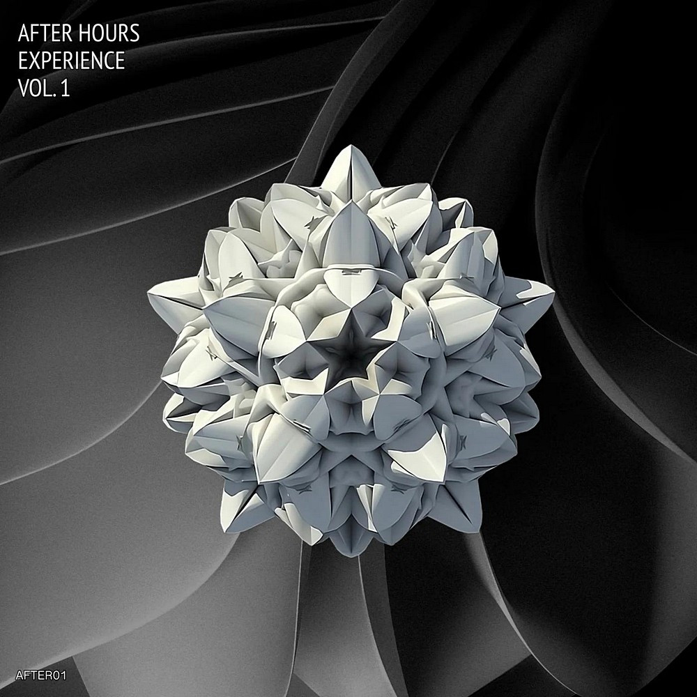 After Hours Experience Vol 1 (2024)