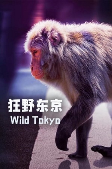 Wild Tokyo (2020) 1080p WEB-DL H264 AAC-SONYHD