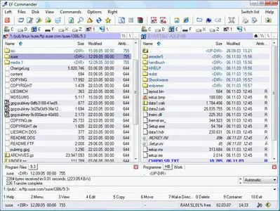 EF Commander 24.06 Portable