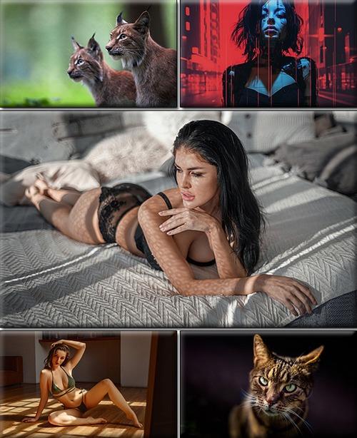 LIFEstyle News MiXture Images. Wallpapers Part (2030)