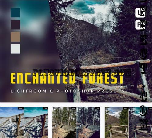 6 Enchanted Forest Lightroom and Photoshop Presets - PMJVK3U