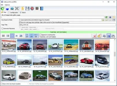 Bulk Image Downloader 6.45 Multilingual