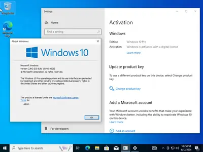 Windows 10 Pro 22H2 build 19045.4529 Preactivated Multilingual June 2024 (x64)  Cb14e60b7f0111b10681cdd178fb548d