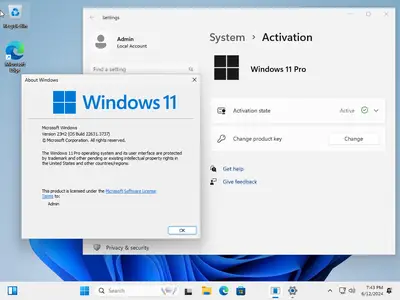Windows 11 Pro 23H2 Build 22631.3737 (No TPM Required) Preactivated Multilingual June 2024 64bbcd89345d27ed5683f768301c8c8e