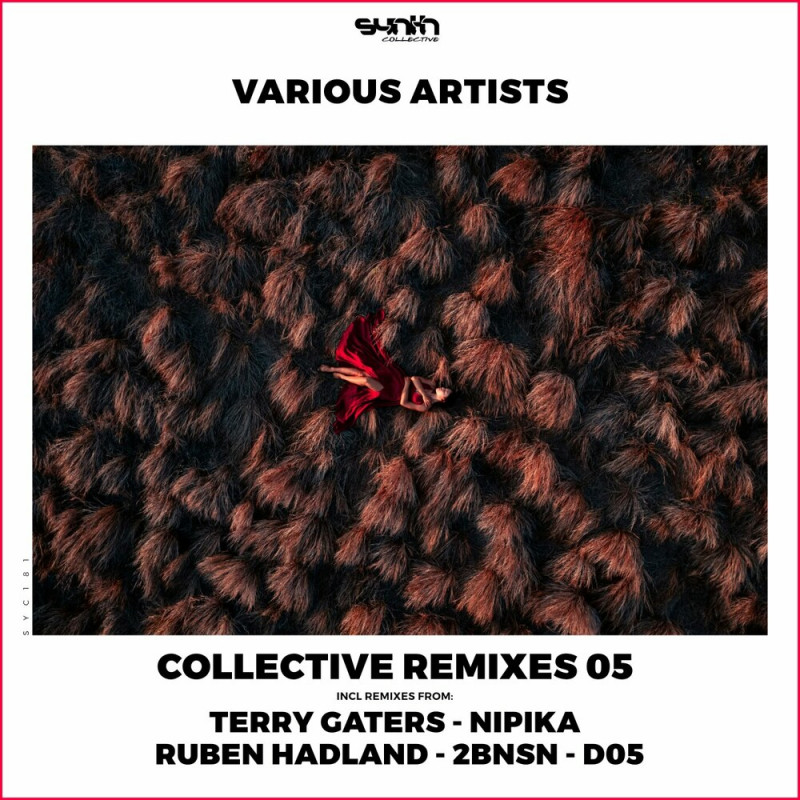 Collective Remixes 05 (2024)