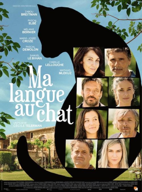 Wszystko przez kota / All Because of the Cat / Ma langue au chat (2023) MULTi.1080p.MAX.WEB-DL.x264-KiT / Lektor PL & Napisy PL