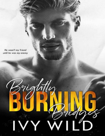 Brightly Burning Bridges: Special Edition - Ivy Wild 491c2761df83bb7f7ff5dc14b3e4088b