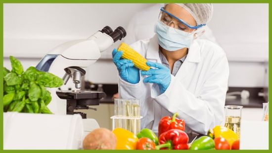 ISO 22000: Food Safety Management Simplified For Beginners
