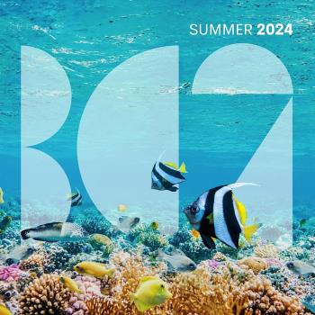 VA - BC2 Summer 2024 (2024) MP3