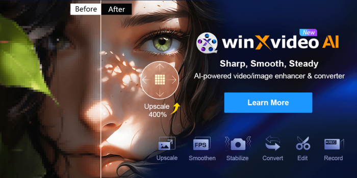 Digiarty Winxvideo AI 3.0 (x64)