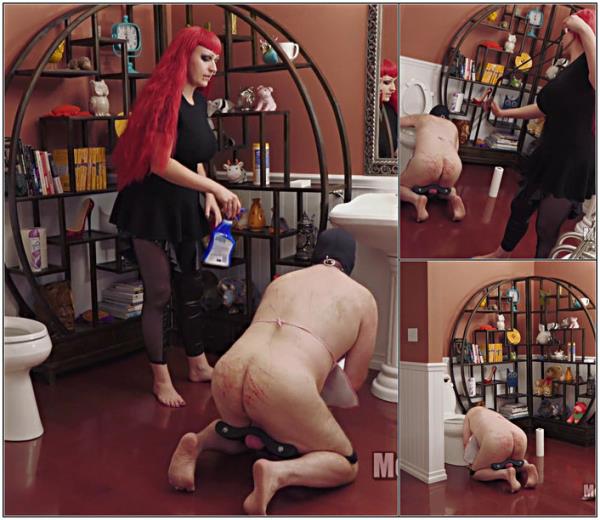 Men Are Slaves  This Is Your Life Now Part 2 - [Clips4Sale] (FullHD 1080p)