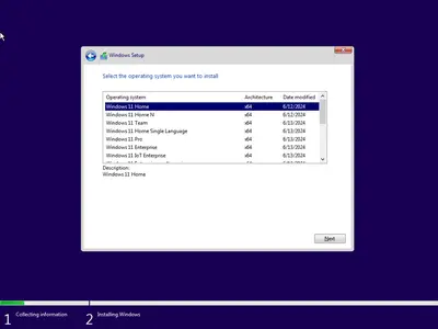 Windows 11 AIO 16in1 23H2 Build Build 22631.3737 (No TPM Required) Multilingual Preactivated June 2024 9af0e88c818f6de4507d14b986444fda