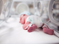 НСЗУ: неонатальний скринінг для безоплатного обстеження новонароджених
