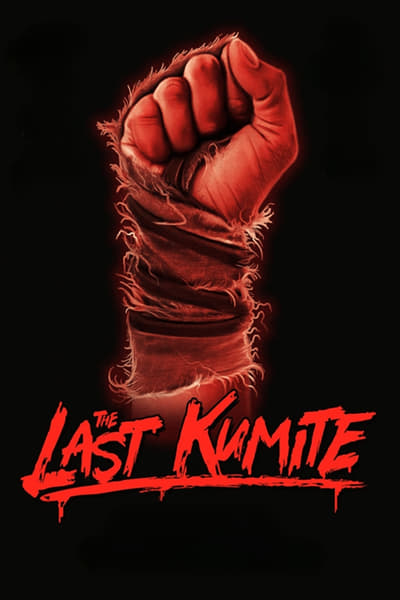 The Last Kumite (2024) BDRip DD5 1 x264-playSD