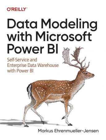Data Modeling with Microsoft Power BI: Self-Service and Enterprise Data Warehouses with Power BI (True/Retail PDF)