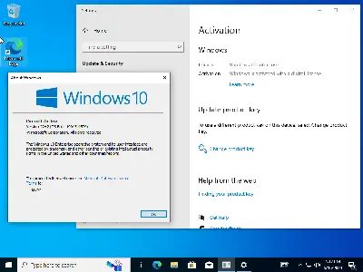Windows 11 (No TPM Required) & Windows 10 AIO 32in1 Preactivated June 2024 7f73b3bc032d48022282de65df41afe3