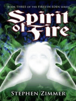 Spirit of Fire - Stephen Zimmer 27897ccc11b69c137129ddc91eab1865