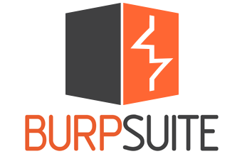 Burp Suite Professional 2024.5.3
