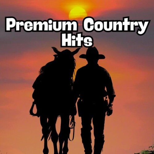 Premium Country Hits (2024)