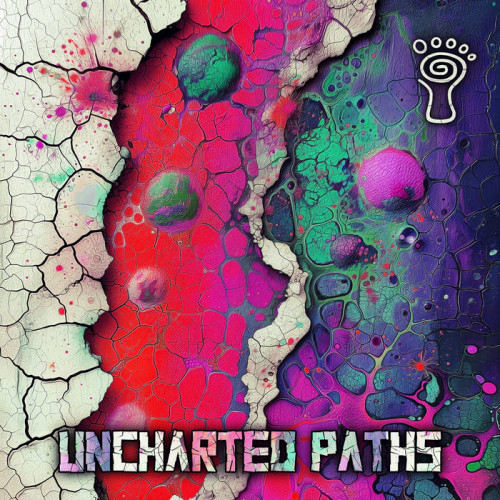 VA - Uncharted Paths (2024)