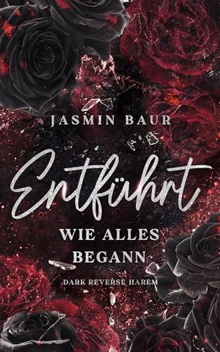 Cover: Jasmin Baur - Entf&uuml;hrt: Wie alles begann Band 1