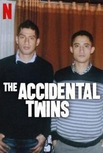 The Accidental Twins (2024) 1080p WEB h264-EDITH