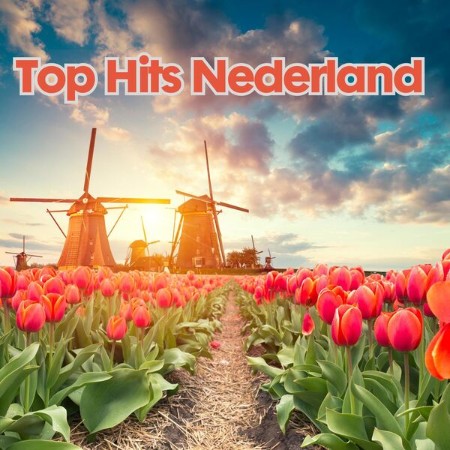 VA - Top Hits Nederland 2024