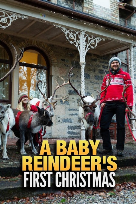 A Baby Reindeers First Christmas (2020) 1080p WEB H264-CBFM