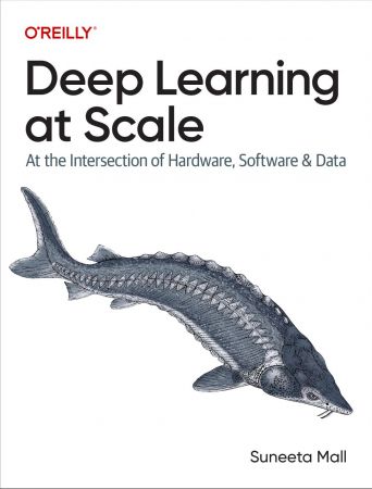Deep Learning at Scale: At the Intersection of Hardware, Software, and Data (True/Retail PDF)