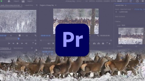 Learn Premiere Pro: Video Editing for Absolute Beginners