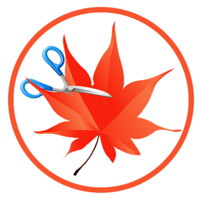 462a34526e3b7dca41a6f9ef6c2ae546.png