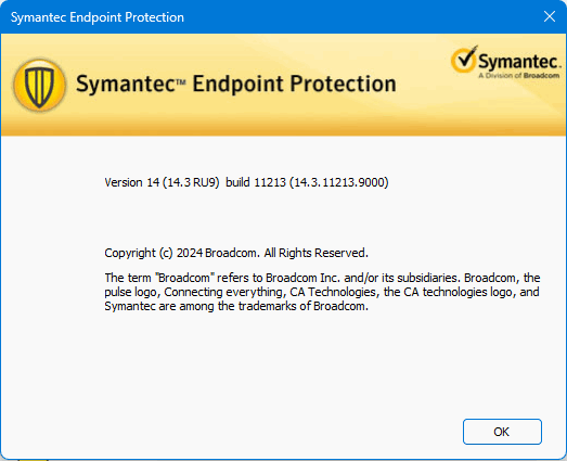Symantec Endpoint Protection 14.3.11213.9000