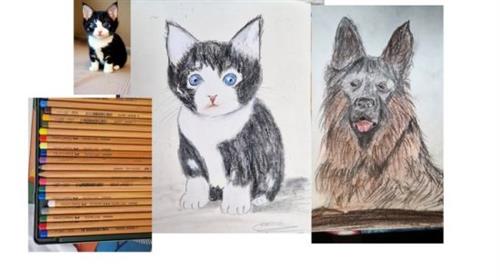 learn to draw your pet with easily even you are not artist