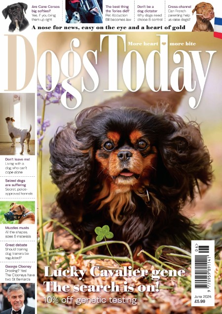 Dogs Today UK - June 2024 E4f53461072fa11f52febaf16455ab66