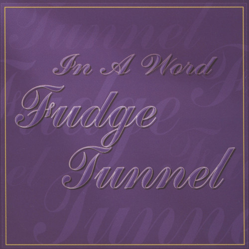 Fudge Tunnel - In A Word (Compilation) 1995
