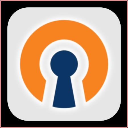 OpenVPN 2.6.11.I002