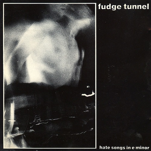 Fudge Tunnel - Hate Songs in E minor (1991)